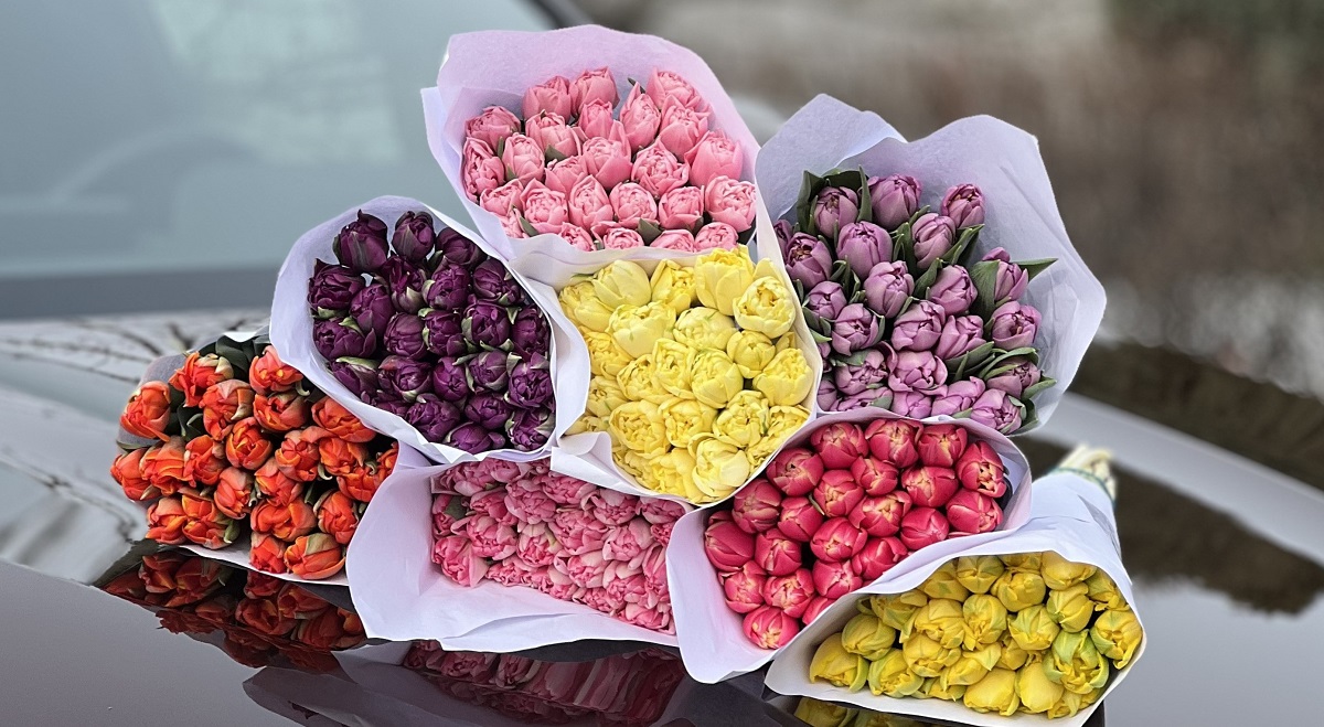 �������������� ��������