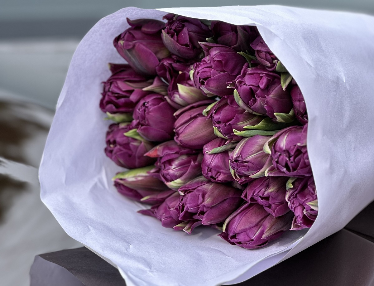 ��������� ������