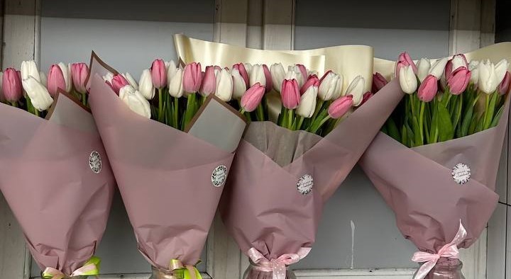 �������������� ��������